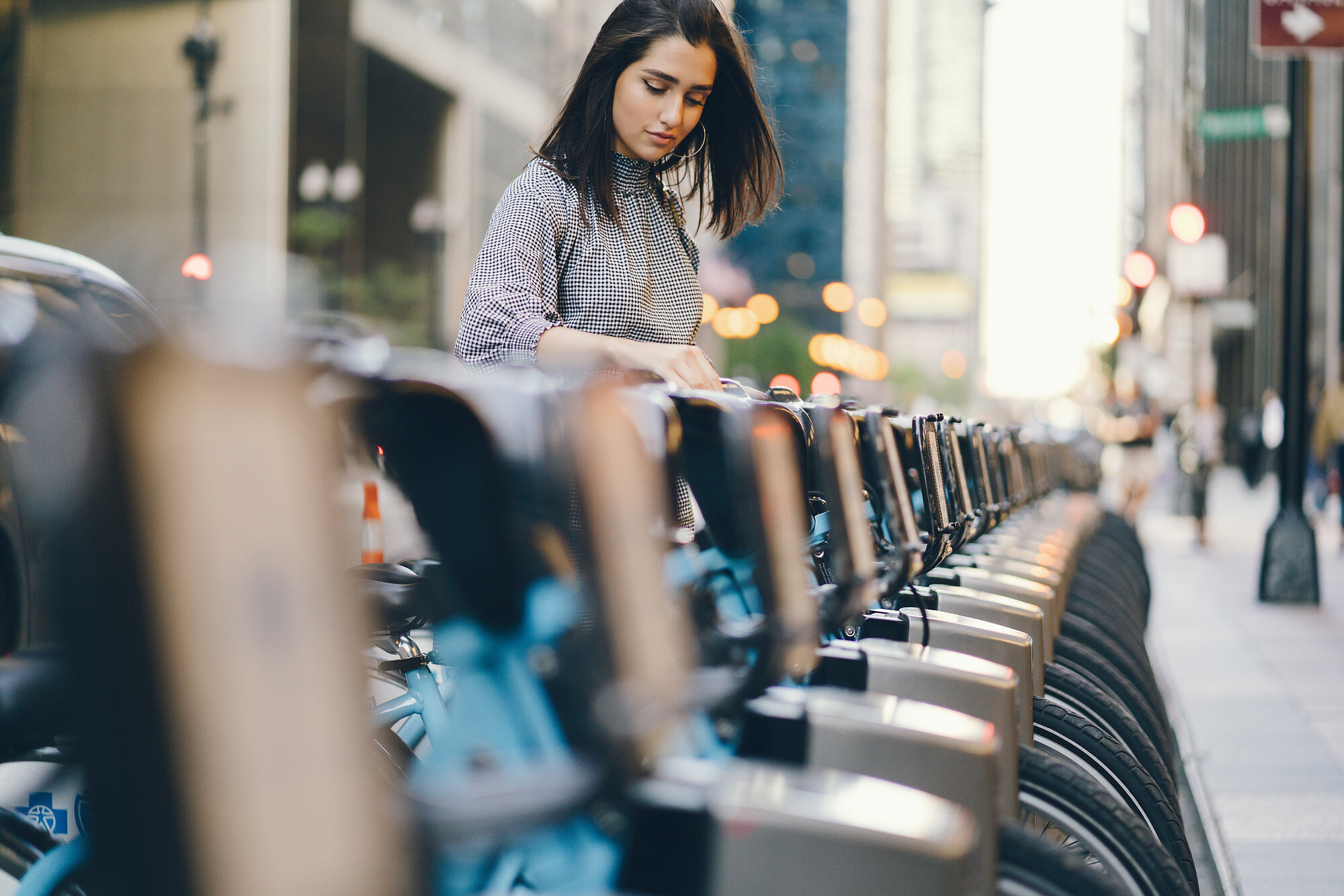 Public Bike Sharing